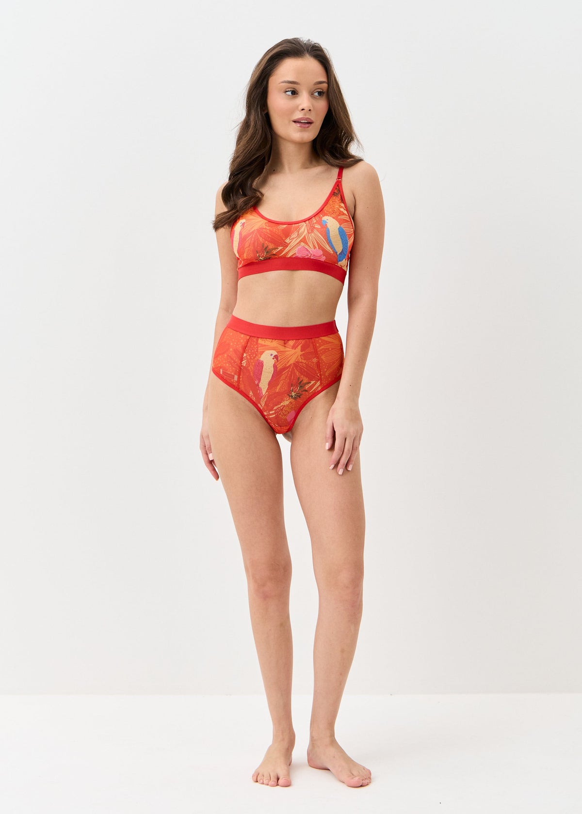 Parrots Cupless Bra – Unique, Elegant, Alluring - BRIKOLY