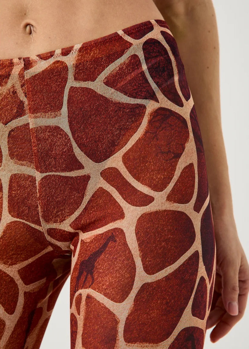 Swimming leggings (на проверку + заполнить) - BRIKOLY