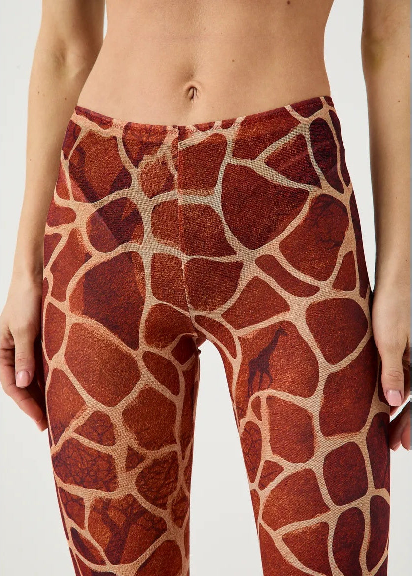 Swimming leggings (на проверку + заполнить) - BRIKOLY